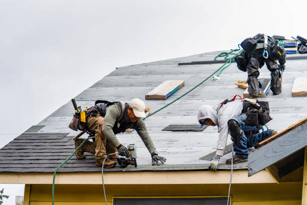 Professional Gutter Installation technician working in Clio, IA